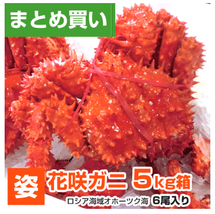 ウオスの花咲ガニの画像